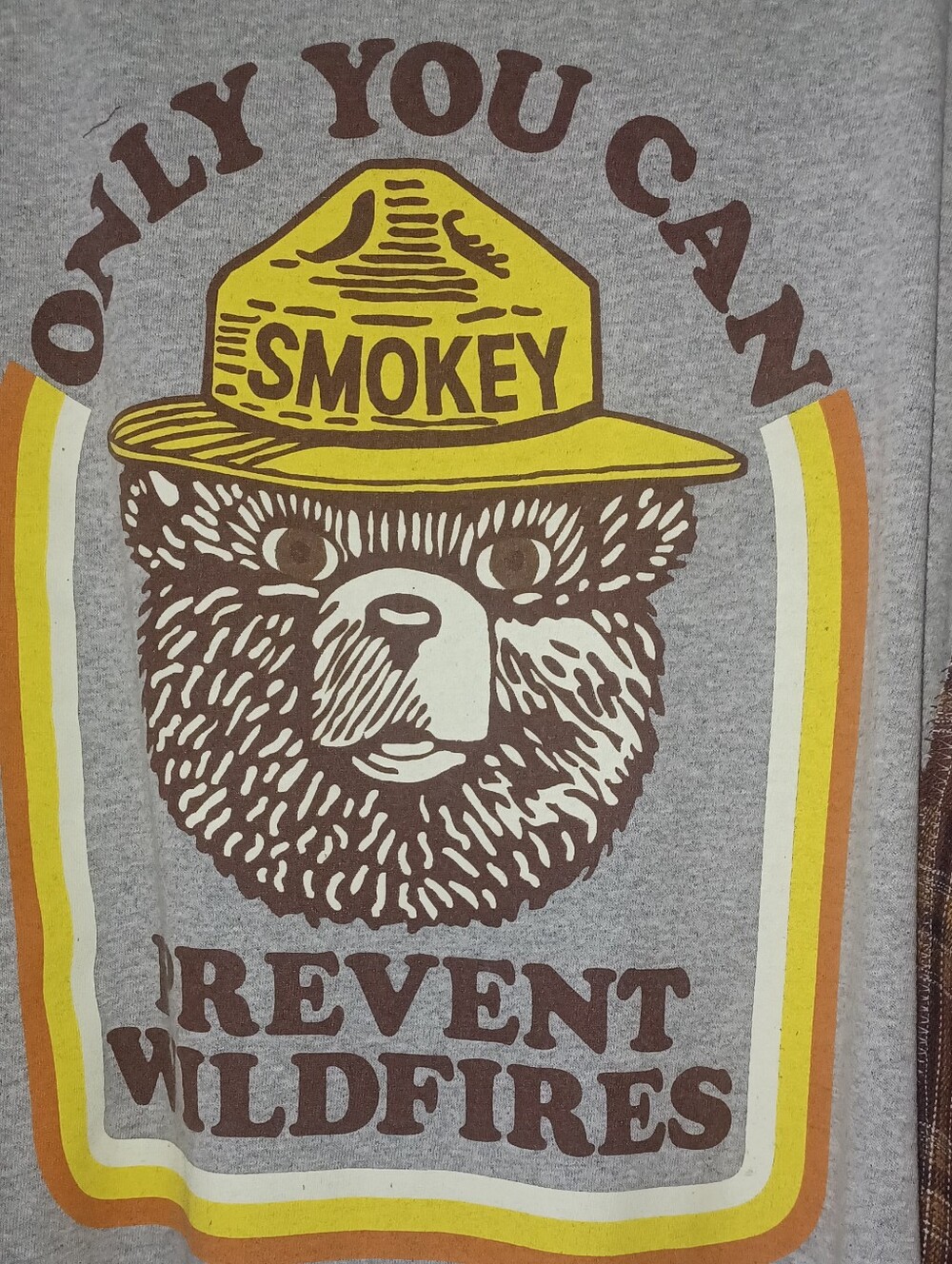 Graphic Long Sleeve Top with Plaid Sleeves - Gray/Brown - Picture 3 of 8